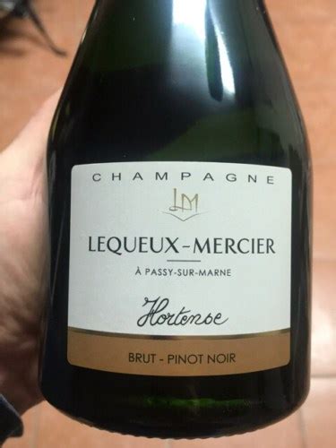 Lequeux Mercier Cuv E Hortense Pinot Noir Brut Champagne Vivino Brasil