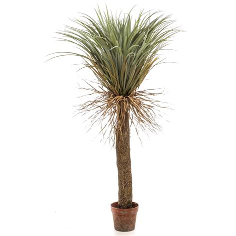 Yucca Artificiel Sauvage 150 Cm En Pot Emerald Leroy Merlin