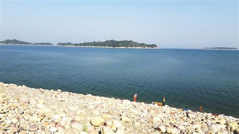 Pong Dam Lake Maharana Pratap Sagar Talwara Township