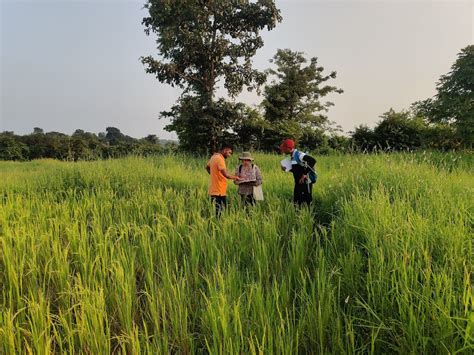 Stakeholders Of A Landscape Shaping Healthier Ecosystems Together
