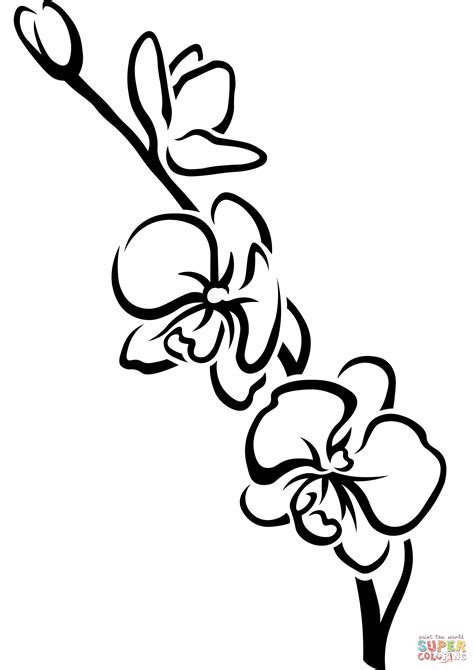 Orchid Coloring Page Free Printable Coloring Pages