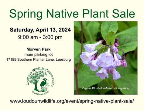 Loudoun Wildlife Conservancy Spring Native Plant Sale Piedmont