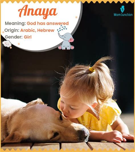 anaya