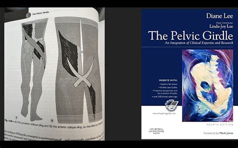 What & How Fascia Leads To Better Core Training - Ultimate Sandbag Training