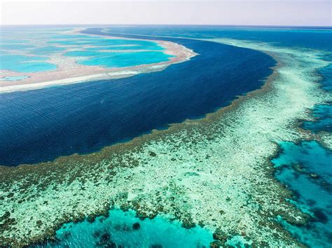 Great Barrier Reef Giant Blue Sinkhole Discovered By Marine Biologists