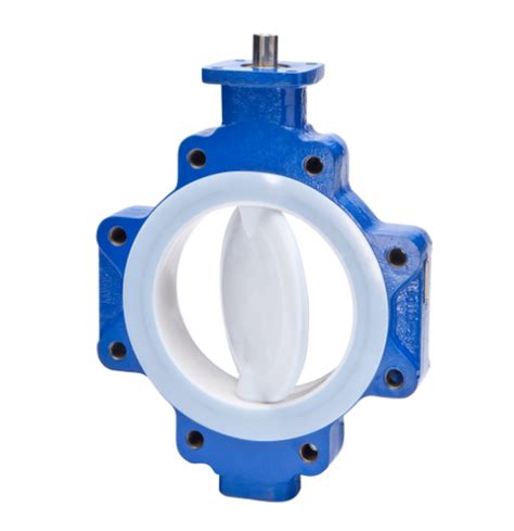 Ptfe Sleeve For Butterfly Valves Size 10 250 Mm At Best Price In