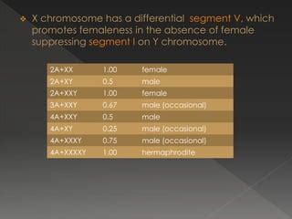 Xx Xy Sex Determination In Plants Ppt