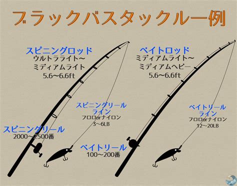 バスタックルの基礎知識！ベイトとスピニングの違いや使い方を紹介！ブラックバス釣り入門サイト！初心者向け攻略法まとめ Feat釣活