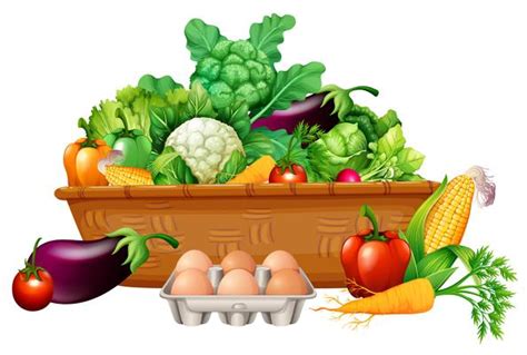 Vegetales Vectores Iconos Gr Ficos Y Fondos Para Descargar Gratis