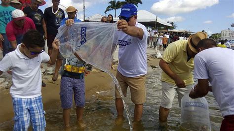 Codevasf realiza peixamento e fornece mudas no município de Estância