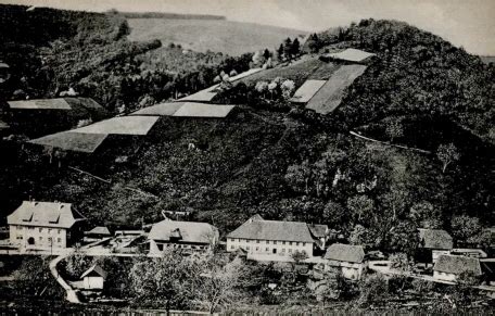 Fotografie Heimat Muenstertal De