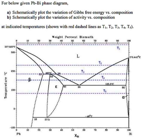 Solved For The Below Given Pb Bi Phase Diagram A Schematically Plot