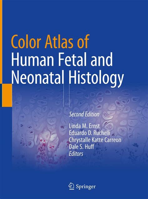 Amazon Color Atlas Of Human Fetal And Neonatal Histology Ernst