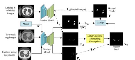 The Proposed Semi Supervised Learning Framework For Covid