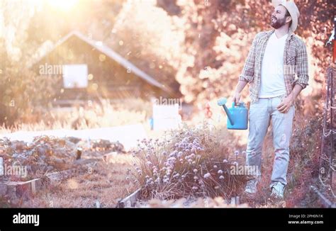 Man Farmer Watering A Vegetable Garden In The Evening At Sunset Stock