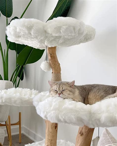 A Cat Laying On Top Of A Tree In A Living Room Next To A Potted Plant