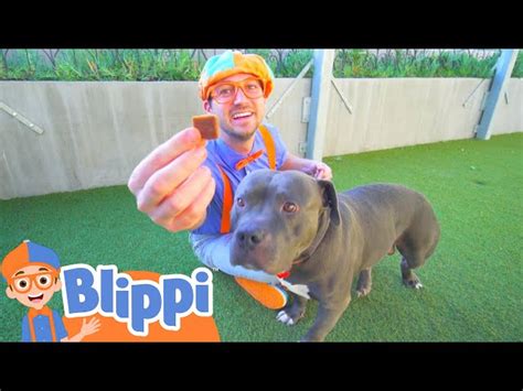 Blippi Learns About Animals For Kids At The Animal Shelter | Educational Videos For Toddlers ...