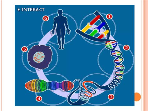 Biol l 1 | PPT