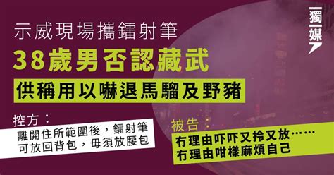 示威現場攜鐳射筆 38歲男否認藏武 供稱用以嚇退馬騮及野豬 獨媒報導 獨立媒體