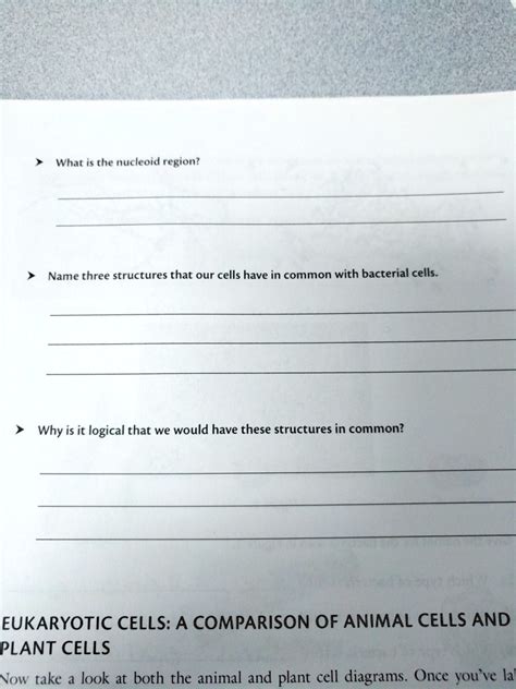 SOLVED: What is the nucleoid region? Name three structures that our ...