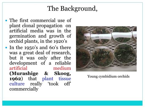 Ppt Plant Tissue Culture Powerpoint Presentation Free Download Id 9421302