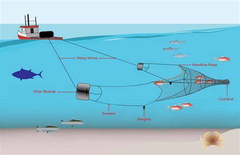 Issues | Midwater Trawlers Cooperative