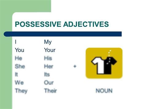 Solution Possessive Adjectives Studypool