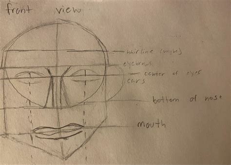 Front view face drawing tips | Face drawing, Drawing tips, Drawings