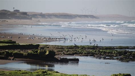 El Clima En Necochea Este Martes 3 01 Algo Nublado Y Con Temperatura