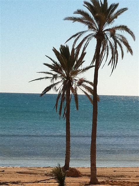 THE 5 BEST Tunisia Luxury Resorts - Jul 2022 (with Prices) - Tripadvisor