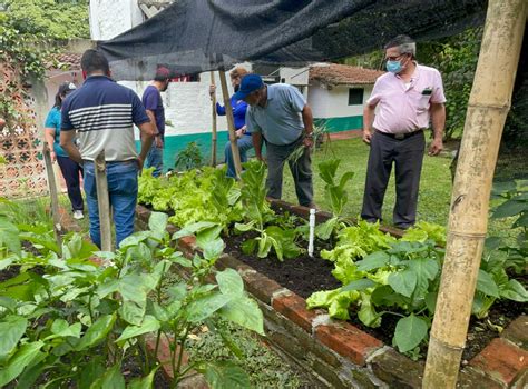 De La Huerta A Tu Mesa Un Modelo De Producci N Y Consumo De