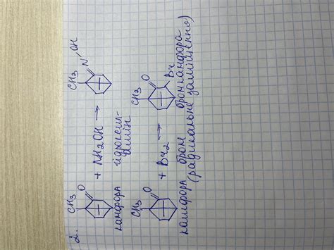 Наведіть схеми реакцій камфори з гідроксиламіном і бромом. - Школьные ...