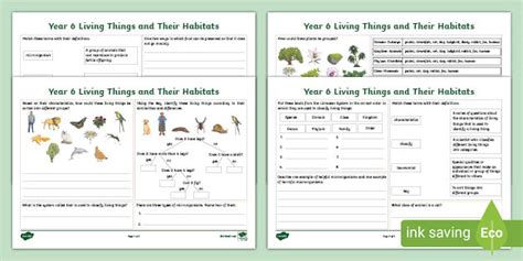 Ks Year Living Things And Their Habitats Revision Activity Mat