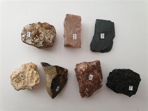 Solved Sample Sorting Rock Name Clastic Chemical Or Organic Chegg