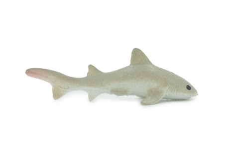 Shark, Short-tail nurse shark, High Quality, Rubber Fish, Hand Painted ...