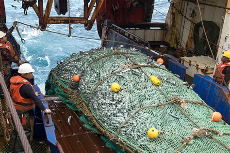 Deep Sea Trawling Industry Welcomes The Conclusion Of Frap