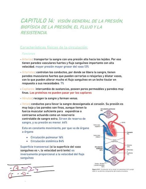 CAPITULO 14 de fisiología de Guyton Karla Lopez uDocz