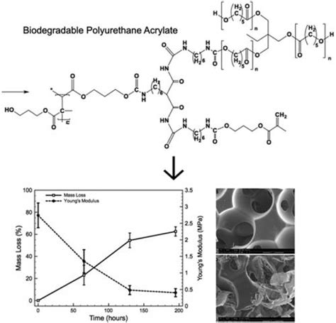 精密多孔生物材料的可生物降解的交联聚氨酯：合成与性能journal Of Applied Polymer Science X Mol