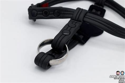 Harnais Plug Anal De Meo Test D Une Culotte Sangles