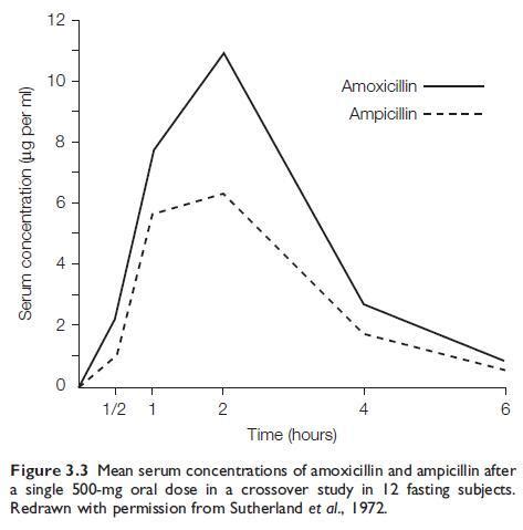 Ampicillin And Amoxicillin Mechanism Of Drug Action Pharmacokinetics