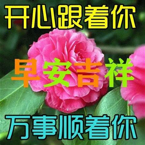 8月9日最新早上好祝福动态表情图片大全，早上好问候语句子！ 生活 阳光 朋友