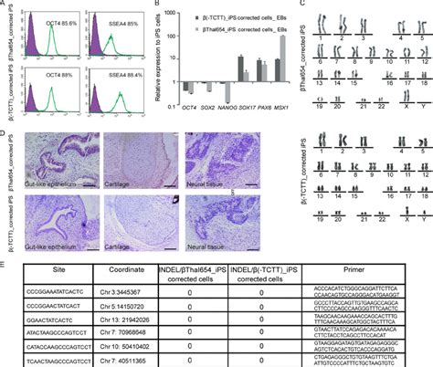 Characterization Of Gene Corrected Ipsc Clones A Expression Of Human