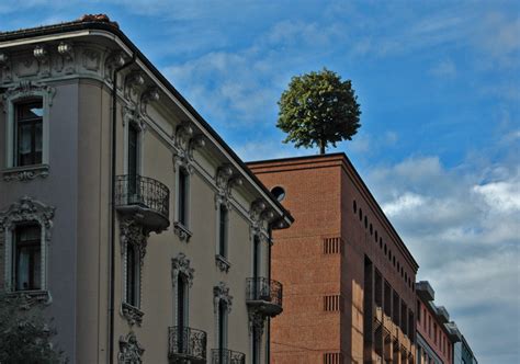 Free Images Tree Architecture House Town Roof Building City