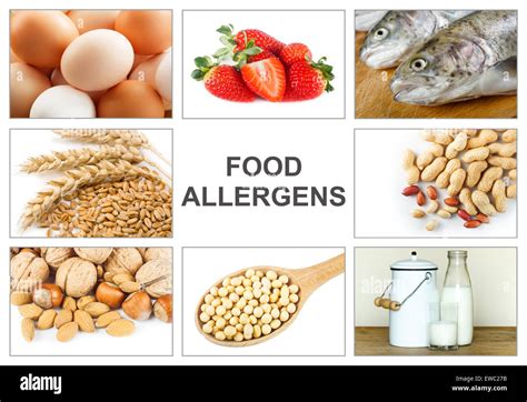 Allergie Food Konzept Nahrungsmittelallergene Wie Eiern Milch Obst