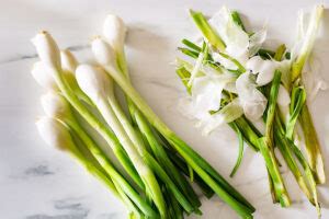 Cebollitas Asadas (Grilled Mexican Green Onions)