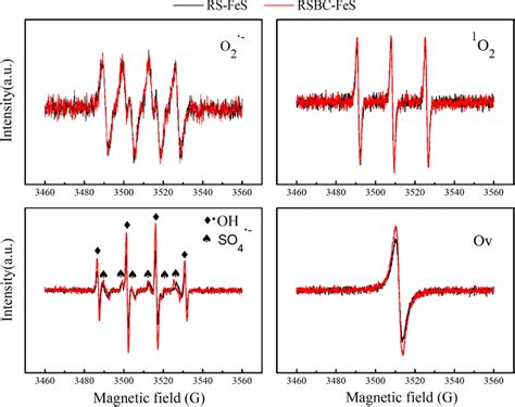 Epr Spectra Obtained For Dmpo O Temp O Dmpo Oh Dmpo So And