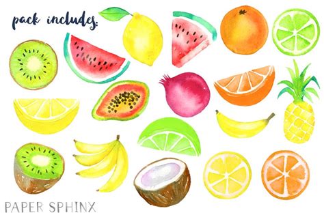 Watercolor Tropical Fruit Clipart Fruit Clip Art Etsy