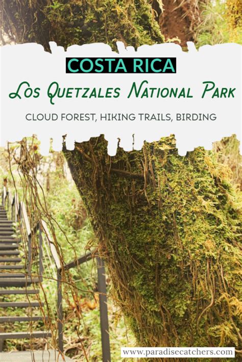 The Complete Guide To Los Quetzales National Park Costa Rica