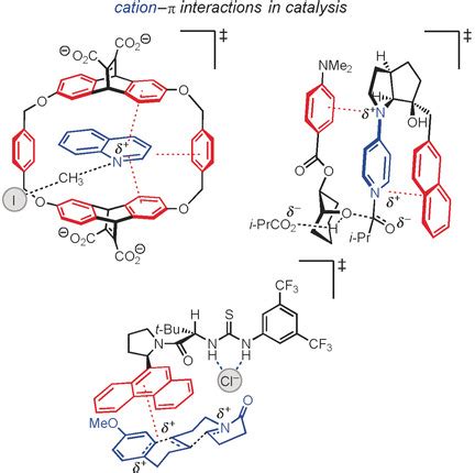 The Cationπ Interaction in SmallMolecule Catalysis Kennedy 2016