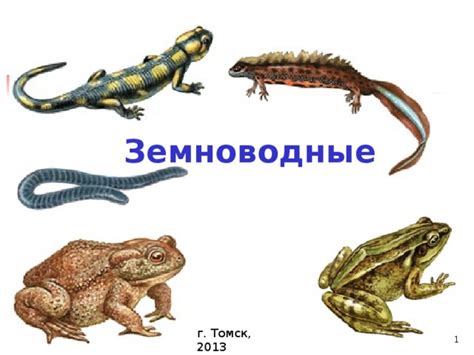 Презентация по биологии на тему "Земноводные"